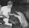 Saviez-vous que Kathy, le célèbre dauphin qui incarnait «Flipper» s'était suicidée