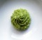 Saviez-vous que le wasabi pouvait sauver des vies