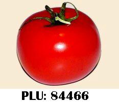 Tomate transgénique  biologique code PLU spécifique